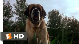 Cujo (1/8) Movie CLIP - A Bat Bites Cujo (1983) HD