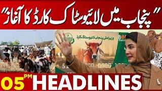 Livestock card launched in Punjab | 05 PM Headlines Lahore News | 29 Dec 2024