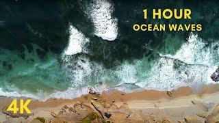 Windansea Beach | 1 Hour of Relaxing Ocean Waves