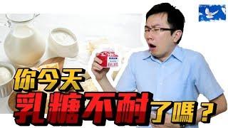 每次喝牛奶都腹痛想大便?「乳糖不耐」怎解? | 蒼藍鴿聊醫學EP104