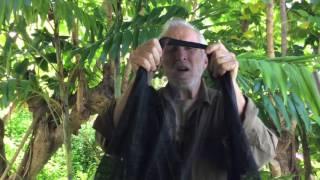 HENNESSY HAMMOCK: Expedition Asym Zip