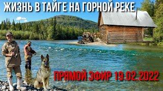 Жизнь в тайге на горной реке | Ответим на  Ваши вопросы | Константин и Наталья Удинцевы | 19.02.2022