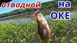 Рыбалка на отводной поводок. Ока июнь 2021.