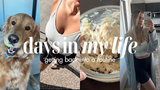 DAYS AT HOME | Back into a routine, cook with me, my website, CBD, another healthy dessert