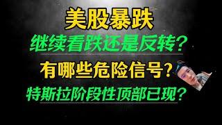 （2024.12.21） 美股大盘暴跌，继续看跌还是反转？ 有哪些危险信号？ 特斯拉阶段性顶部已现？————每周必看的周末回顾