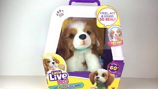 Little Live Pets My Really Real Puppy Patch Interactive Pet  Unboxing & Review