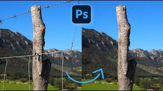 Remove fence - Short Photoshop Tutorial