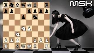 Chess opening principles for beginners