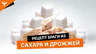 Брага из сахара и дрожжей/ Пропорции/ Рецепт/Рекомендации