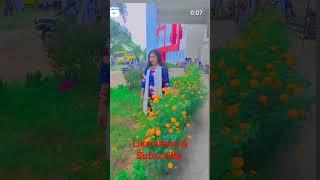 hayere emiti kahinki huere#sesha Sandhya creation #beautifull nature #video
