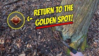 ROMAN GOLD! Metal Detecting With A Second Chance!