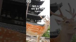 일본 머리/IQ 좋은 지역  랭킹 TOP 10 공개 - 재미와 사실