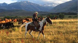 Top 5 Montana Vacation Ranches