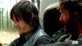 light | bethyl