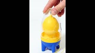 Wait For It - Egg Kitchen Gadget