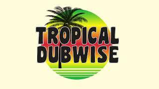 ZION GATE 12" TROPICAL DUBWISE - HORACE ANDY + SLY & ROBBIE (MIXED BY RUSS DISCIPLE)