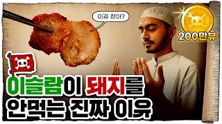  돼지고기를 안먹는 종교, 소고기를 안먹는 종교 /  종교는 왜 고기를 못 먹게 할까?