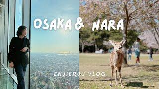 Spring Vlog || Exploring Nara and seeing the perfect view of Osaka City!