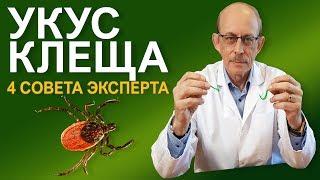 Что делать если Вас укусил клещ - последние Европейские рекомендации  CDC и IDSA