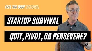 Startup Survival  Quit, Pivot, or Persevere