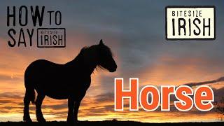 How to say Horse in Irish #bitesizeirish