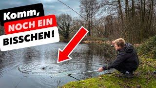 Bei GREWALD GEHT DIE PUMPE - als dieser Fisch abzieht (UNNORMAL um diese Jahreszeit)!