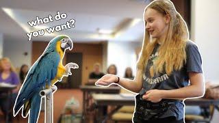 Training is a Language - How Clearly Do You Speak It? | Pablo the Confused Macaw