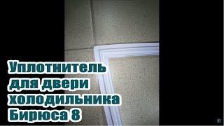 Бирюса 8 2017 год. Крепление уплотнителя двери холодильника шип паз