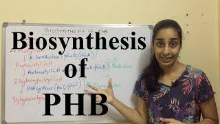 Biosynthesis of Polyhydroxybutyrate | Biosynthesis of PHB | Science Land