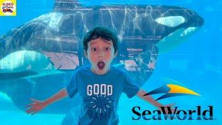 Alonso Crazy Cars SeaWorld San Diego summer Adventures