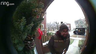 Squirrel Says Hello to UPS Delivery Driver || ViralHog