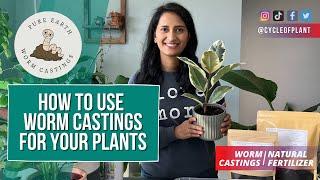 How to Use Worm Castings for Houseplants | Natural Fertilizer | Cycle of Plant