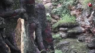 Video No Sensor