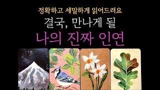 [타로 연애운] 결국 만나게 될 나의 진짜 인연