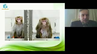 Здоровая и активная старость