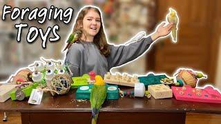 Unboxing Hoot n’ Holler Bird Toys! | Foraging Toys for Parrots