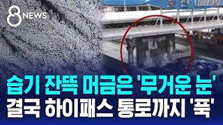 습기 잔뜩 머금은 '무거운 눈'…결국 하이패스 통로까지 '푹' / SBS 8뉴스