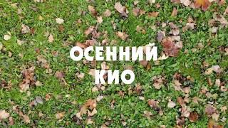 Осенний КиО