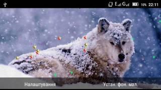 Wild Wolf Voices HD LWP