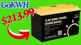 Budget friendly 100ah Lithium battery!