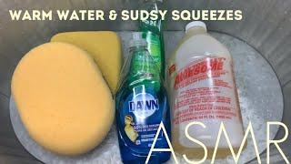 ASMR | Warm Water & Sudsy Sponge Squeezing 