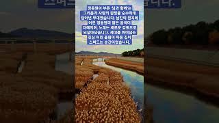 정동원이 부른 ‘님과 함께’는 맑은 음색으로 전하는 따뜻한 그리움의 노래입니다. 남진의 원곡에 순수한 감성이 더해져 세대를 잇는 감동을 전하며 깊은 여운을 남깁니다.