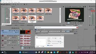 How To Make X Has Sensationalism On MAGIX Sony Vegas Pro