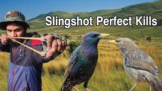 Slingshot Hunting Perfect Kills