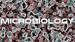 Crash Course Microbiology