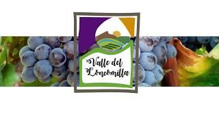 Video sommelier Visita al Loncomilla