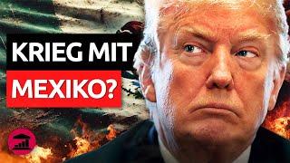 Trump erwägt militärischen Einsatz in Mexiko - VisualPolitik DE