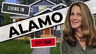 Moving to Alamo, CA? We think you should! | Northern California | Bay Area | Contra Costa County