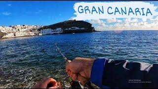 GRAN CANARIA - DESCUBRIENDO 3 Nuevas ESPECIES para mí [Viaje  de Pesca]