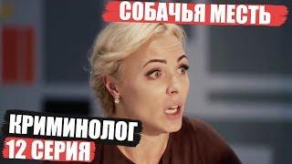 Криминолог - 12 серия - Собачья месть | Детектив 2018